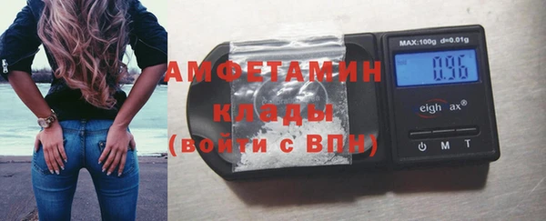 МДПВ Бородино