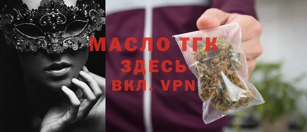 МДПВ Бородино