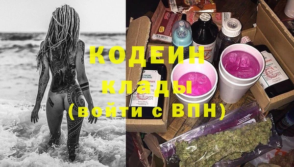 МДПВ Бородино