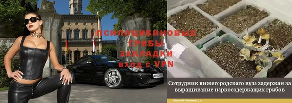 амф Богородск